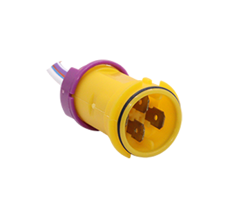 Chicotes - 919.9872-4