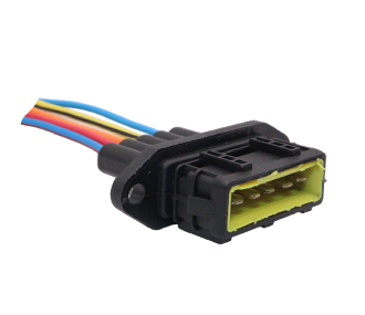 Chicotes - 919.9996-5